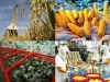 Quá trình công nghiệp hóa, hiện đại hóa nông nghiệp, nông thôn ở Việt Nam